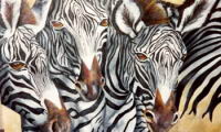 'White-Stripes'-2002-Painti.jpg