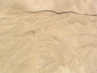 Sandscape.jpg