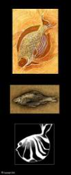 fish-illustrations.jpg