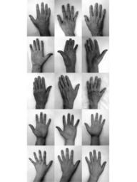 Dowling-hand-studies.jpg