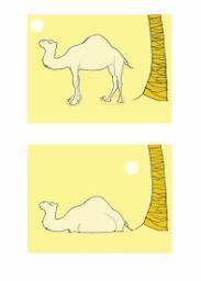 2-camels.jpg