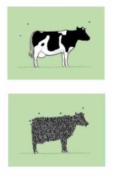 cow-loses-tail.jpg