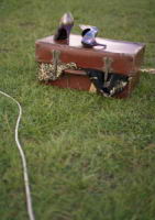 Suitcase-and-wire.jpg