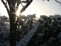 sun&snow2.jpg