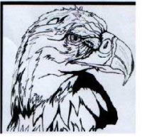 Eagle-in-Pen-and-Ink.jpg
