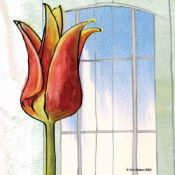 tulipweb.jpg