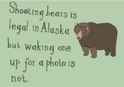 ShootingBears.jpg