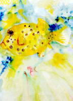 yellow-fish.jpg