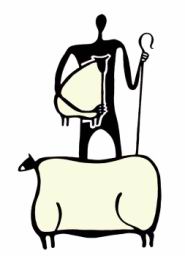 One man and his sheeps.jpg