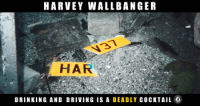 Harvey Wallbanger.jpg