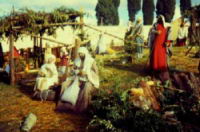 nativity,-assissi--(2003).jpg