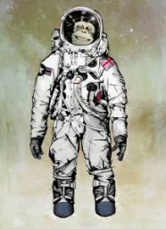 Space-ape.jpg