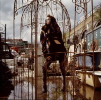 bird-cage.jpg