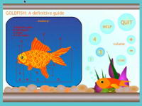MacVersionGoldfish.jpg