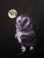 owl.jpg