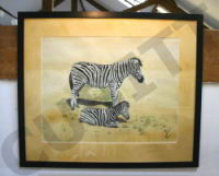 zebra+calf.jpg