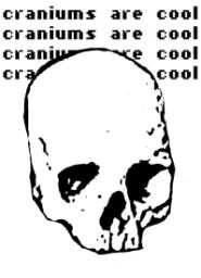 craniums-are-cool.jpg