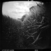 sd_holga10.jpg