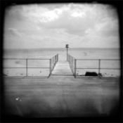 sd_holga9.jpg