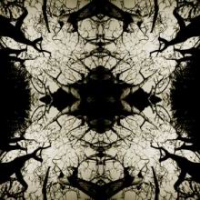 tree-serie-2.jpg